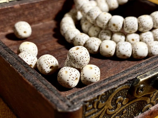 The Story of Bodhi Seeds: The Meaning of Star & Moon Beads in Tibetan Culture
